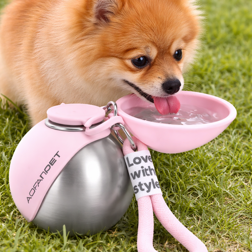 Portable Dog Water Bottle with Built-in Bowl